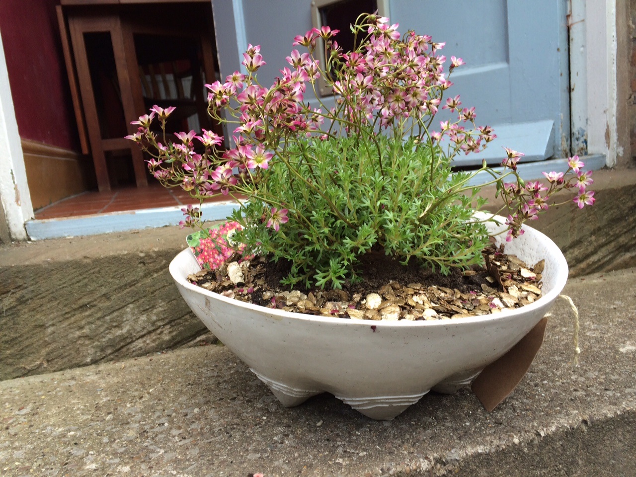 Stoneware alphine planter, alpine planter, ceramics, plant pot