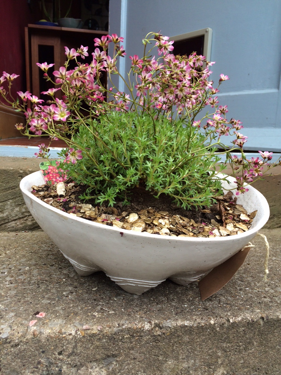 Stoneware alphine planter, alpine planter, ceramics