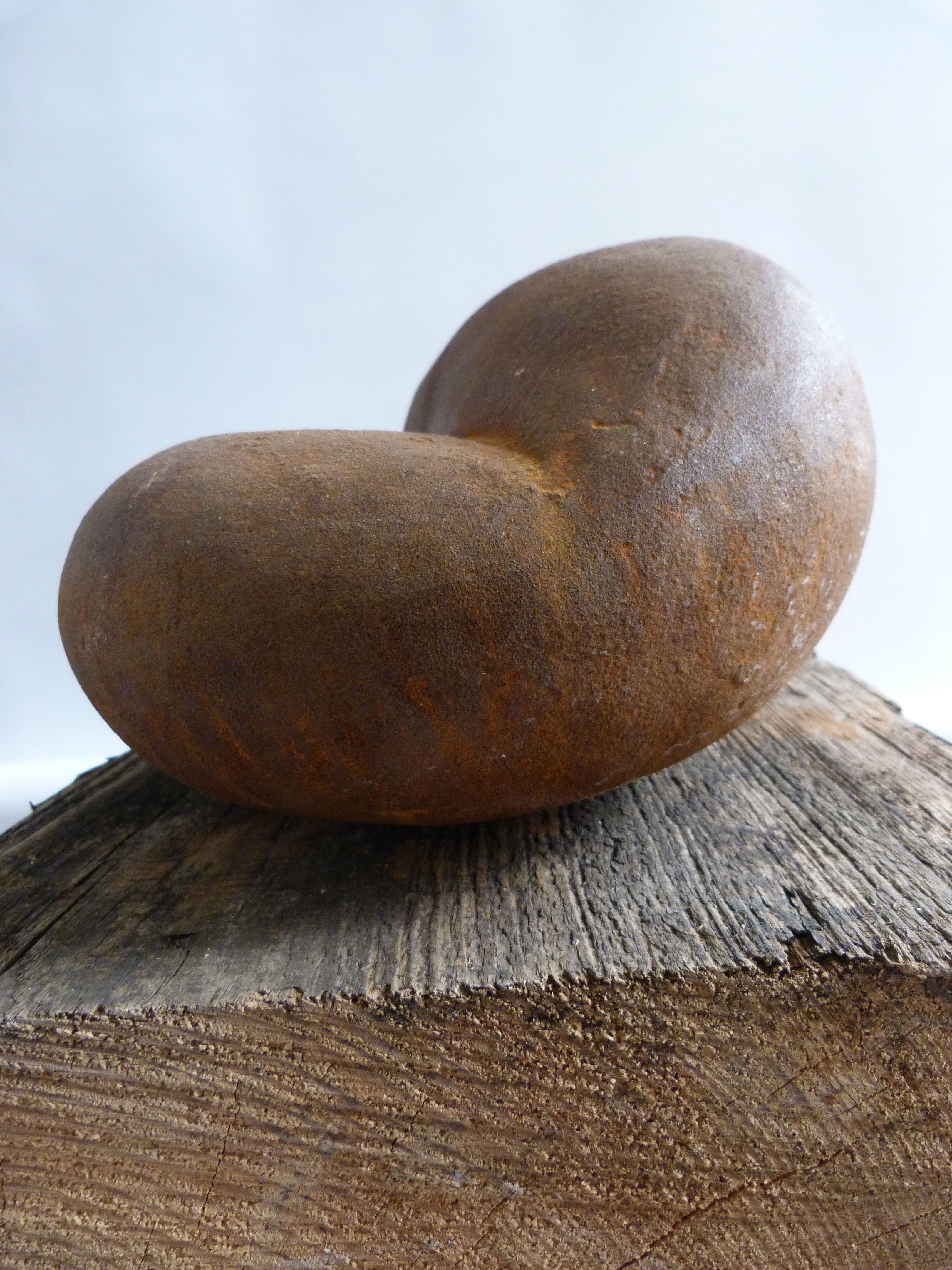 garden sculpture, Hanne Westergaard