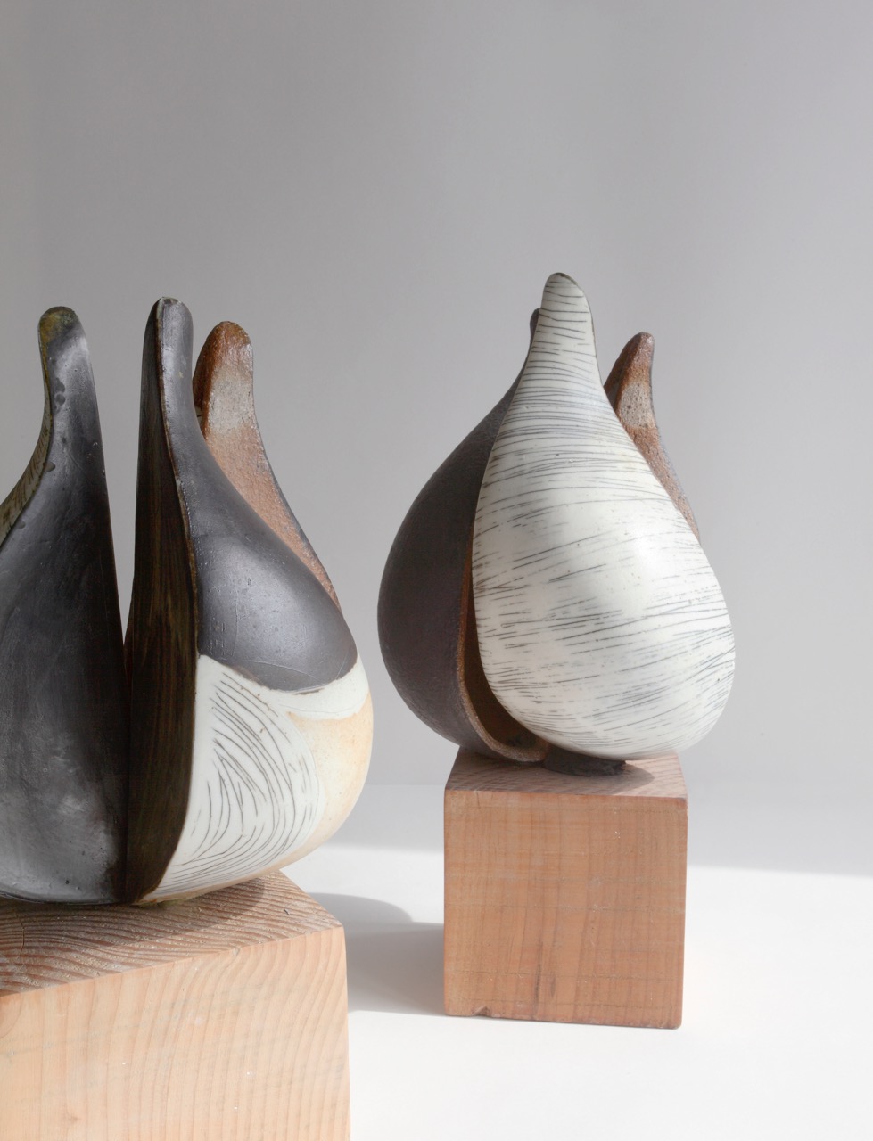 contemporary ceramics, ceramics sheffield, ceramic seed pods