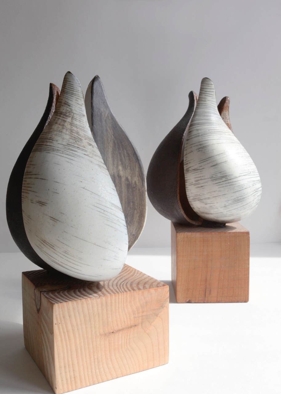 contemporary ceramics, ceramics sheffield, ceramic seed pods